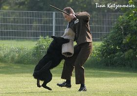 Korung_Lampertheim_Fado_und_Gina_005.jpg